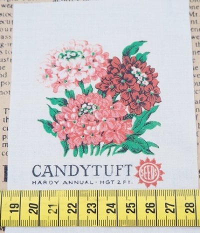 画像2: 転写カットクロス　CANDYTUFT