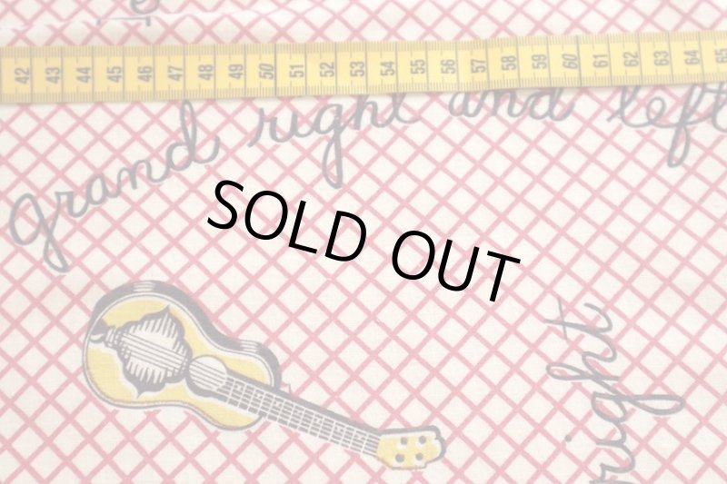 画像2: アメリカ製　ヴィンテージフィードサック　フィフティーズ (2)