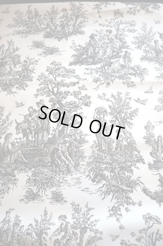 画像3: アメリカ製　ヴィンテージファブリック　トワルドジュイ (3)