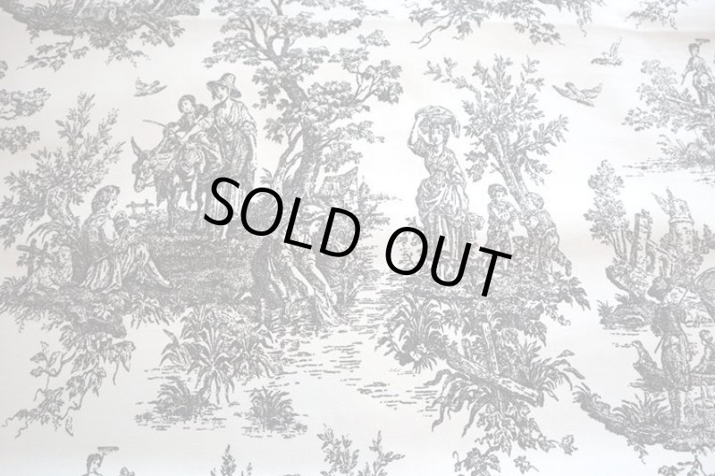 画像2: アメリカ製　ヴィンテージファブリック　トワルドジュイ (2)