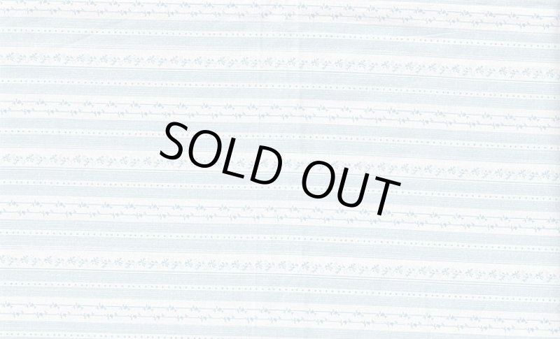 画像1: イギリス製　ヴィンテージファブリック　ブルーボーダー (1)