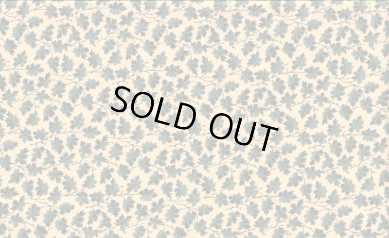 画像1: イギリス製ファブリック　WARNER (1)