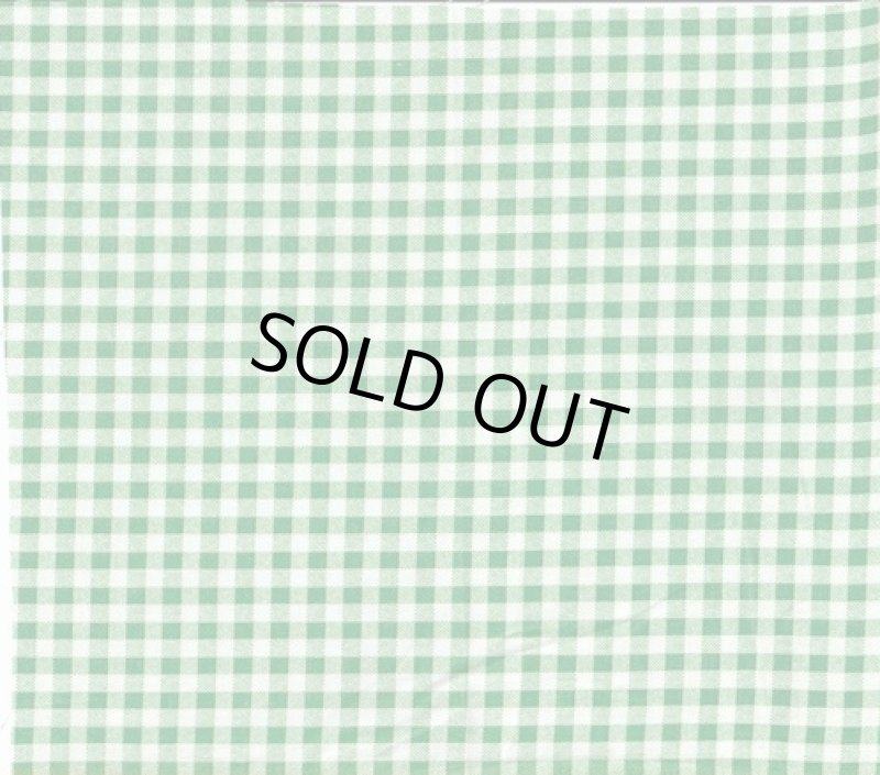 画像1: アメリカ製　ヴィンテージファブリック　プリントギンガムチェック　９枚入りSALE！ (1)