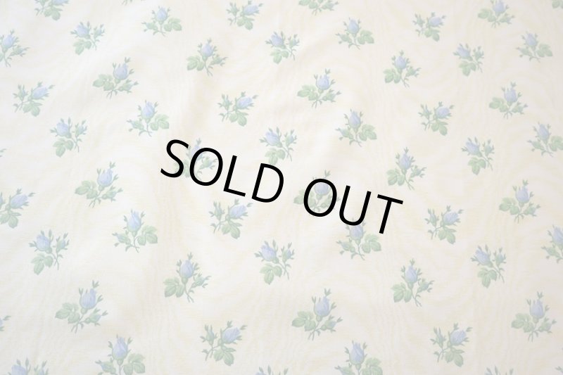 画像1: イギリス製ファブリック　TITLEY MARR (1)