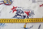 画像3: アメリカ製　ヴィンテージフィードサック パトリオット　SALE! (3)