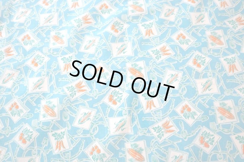 画像1: アメリカ製　ヴィンテージフィードサック　ベジタブル ブルーグリーン (1)