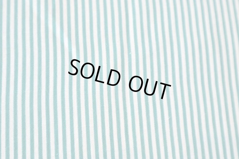 画像1: アメリカ製　ヴィンテージフィードサック　ピンストライプ　グリーン (1)