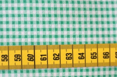 画像1: アメリカ製　ヴィンテージフィードサック　ギンガムチェック　グリーン