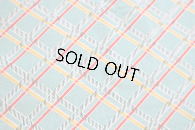 画像1: アメリカ製　ヴィンテージフィードサック　チェック (1)