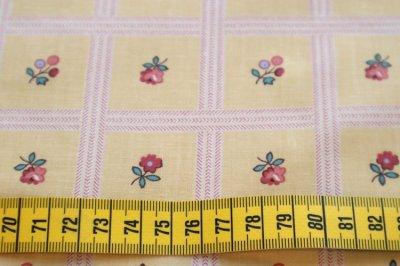 画像1: フランス製ファブリック　アルザスコレクション