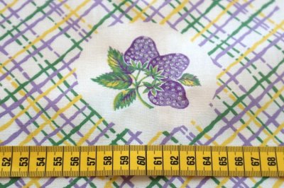 画像1: アメリカ製　ヴィンテージフィードサック　フルーツチェック