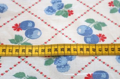 画像1: アメリカ製　ヴィンテージフィードサック　フルーツ