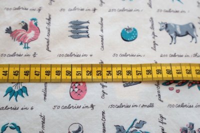 画像1: アメリカ製　ヴィンテージファブリック　カロリー