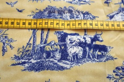 画像3: アメリカ製　ヴィンテージファブリック　トワルドジュイ　SALE!