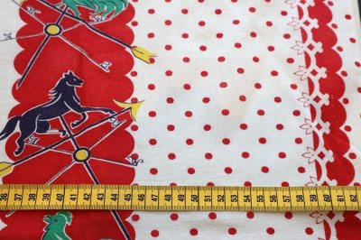 画像3: アメリカ製　ヴィンテージフィードサック　キッチン　レッド