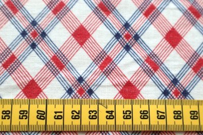 画像1: アメリカ製　ヴィンテージフィードサック　チェック