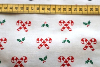 画像2: アメリカ製　ヴィンテージファブリック　ラガディアン