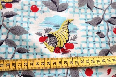 画像2: アメリカ製　ヴィンテージフィードサック　ファーム＆チェリー