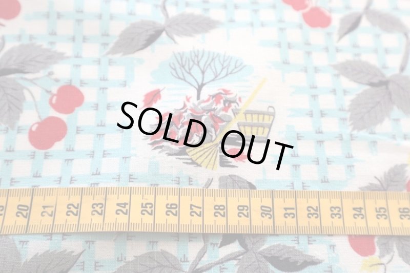 画像4: アメリカ製　ヴィンテージフィードサック　ファーム＆チェリー (4)