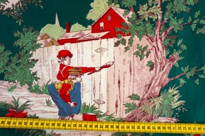 画像1: アメリカ製　ヴィンテージファブリック　マーク・トウェイン　