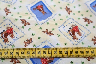 画像1: アメリカ製　ヴィンテージ　ファブリック　ピーターラビット2003