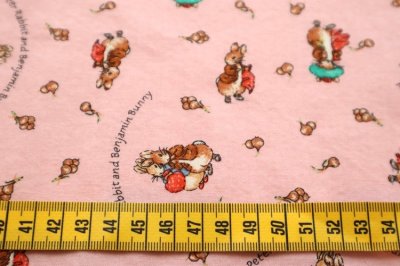 画像1: アメリカ製　ヴィンテージ　ファブリック　ピーターラビット2003