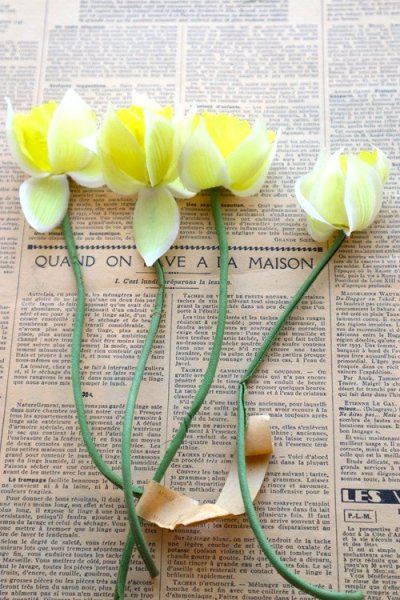 画像1: ドイツ製ヴィンテージフラワー　帽子・コサージュ用　SALE!