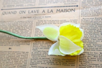 画像2: ドイツ製ヴィンテージフラワー　帽子・コサージュ用　SALE!