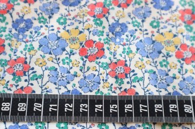 画像1: イギリス製　ヴィンテージリバティファブリック　CLARISSE