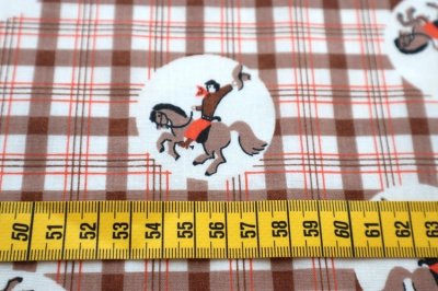 画像1: アメリカ製　ヴィンテージ　ファブリック　カウボーイ・チェック