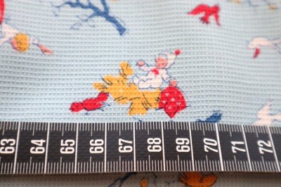 画像1: フランス製　ヴィンテージファブリック　ベビーと小鳥　