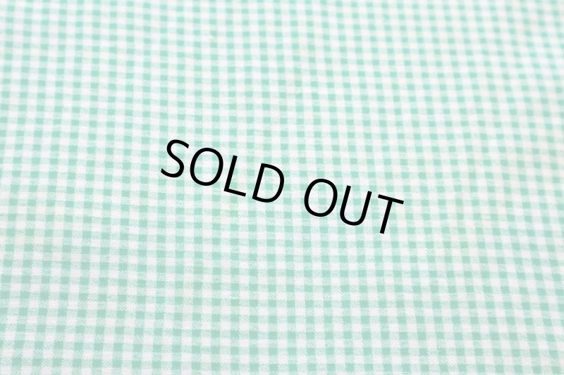 画像1: アメリカ製　ヴィンテージフィードサック　ギンガムチェック (1)